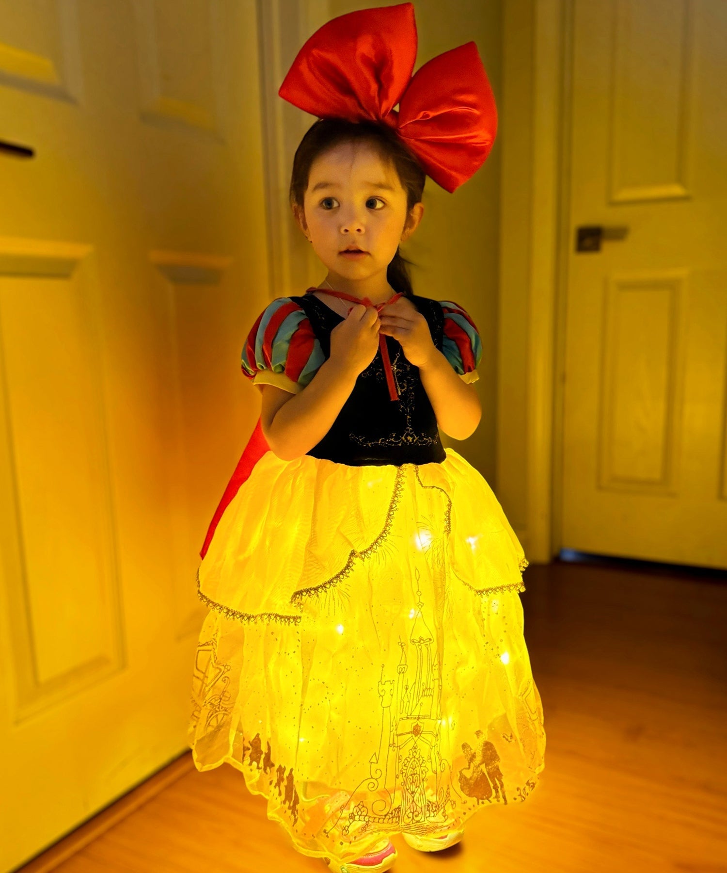 Light Up Random Style Princess Dress - Uporpor