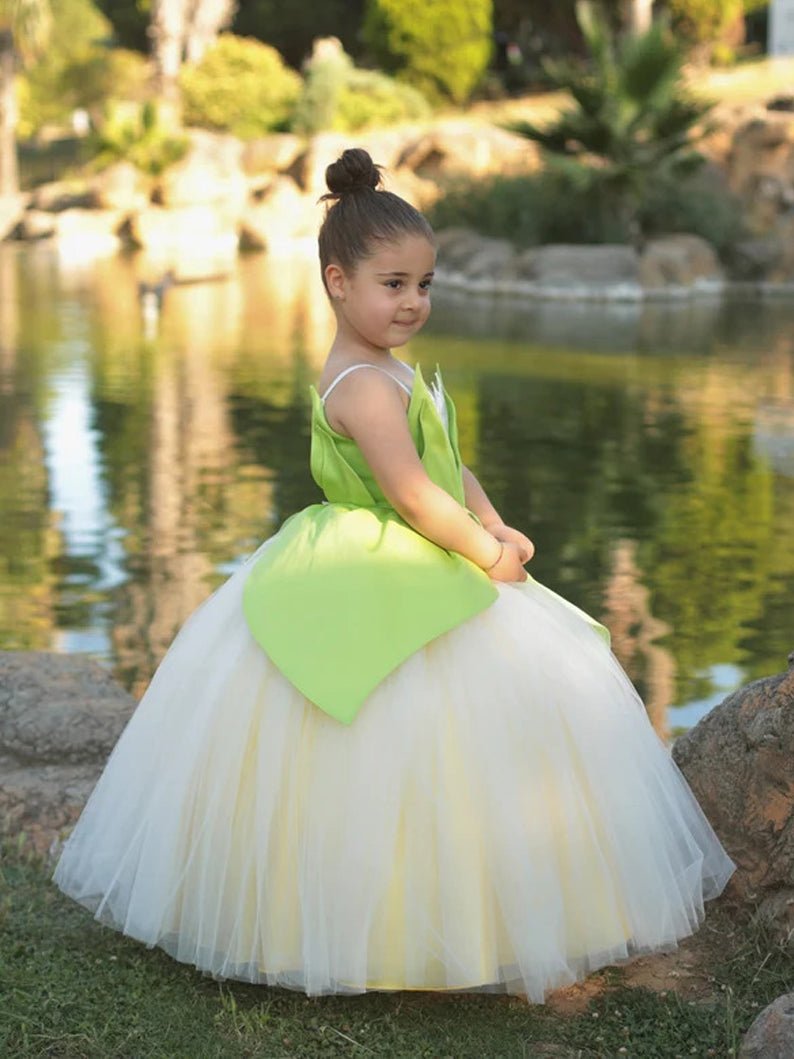 Princess Tiana Light Up Fairy Mesh Dress For Girls - Uporpor - Uporpor