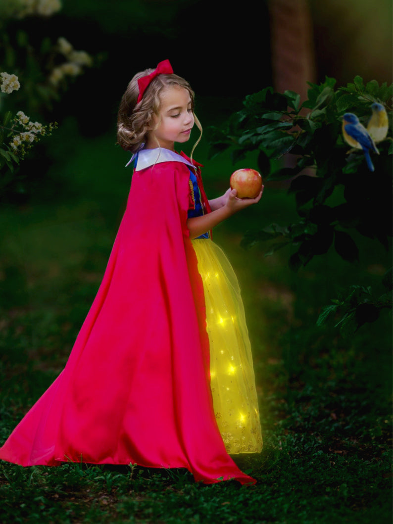 Princess Snow White Classic Velvet Cosplay Costume - Cosrea Cosplay